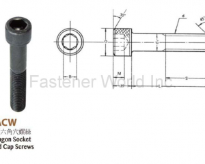 fastener-world(HAN CHI INDUSTRIAL CO., LTD. )