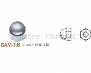 fastener-world(HAN CHI INDUSTRIAL CO., LTD. )