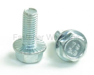 fastener-world_NINGBO TRANSHOW FASTENER CO., LTD. fastener-world(NINGBO TRANSHOW FASTENER CO., LTD. )
