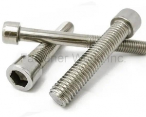 fastener-world(NINGBO TRANSHOW FASTENER CO., LTD. )