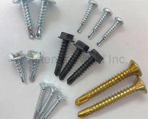 Various Types of Self Drilling Screws(曜维贸易有限公司)