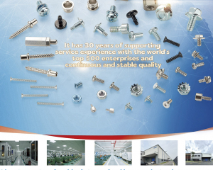 fastener-world(DONGGUAN TOBON SCREWS CO., LTD. )