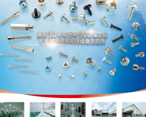 fastener-world(DONGGUAN TOBON SCREWS CO., LTD. )