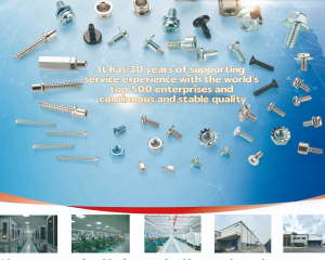 fastener-world(DONGGUAN TOBON SCREWS CO., LTD. )