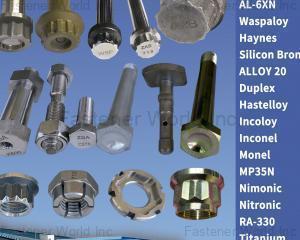 fastener-world(JIANGSU ZSA INDUSTRY CO., LTD )