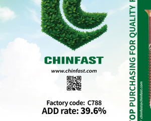 fastener-world(CHINFAST CO., LTD. )
