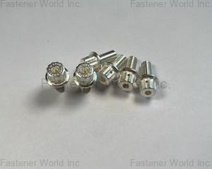 fastener-world(JIANGSU ZSA INDUSTRY CO., LTD )