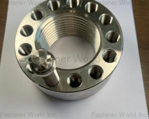 fastener-world(JIANGSU ZSA INDUSTRY CO., LTD )
