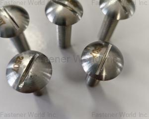 fastener-world(JIANGSU ZSA INDUSTRY CO., LTD )