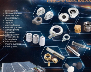 fastener-world(E CHAIN INDUSTRIAL CO., LTD. )