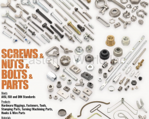 fastener-world(ALISHAN INTERNATIONAL GROUP CO., LTD. )