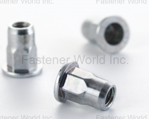 fastener-world(RIVETECH FASTENERS COMPANY LTD. )