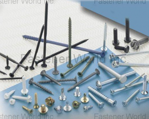 Special Screws(PRO-VISA (LIN) INT'L CORP.)