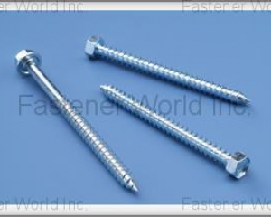 fastener-world_FUSHANG CO., LTD.   fastener-world(FUSHANG CO., LTD.  )