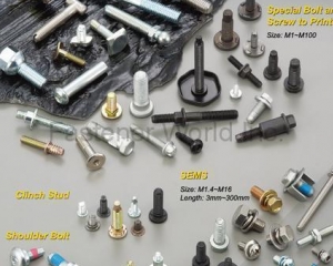 fastener-world(WAY FAST INTERNATIONAL CO., LTD.  )