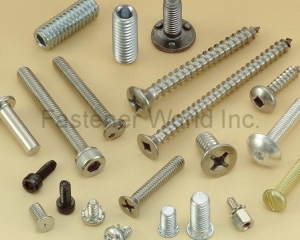 fastener-world(PAR EXCELLENCE INDUSTRIAL CO., LTD.  )