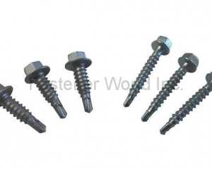 fastener-world(S&T FASTENING INDUSTRIAL CO., LTD.  )