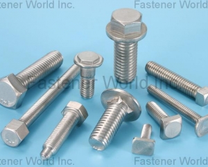 Special Bolts(TONG HWEI ENTERPRISE CO., LTD. )