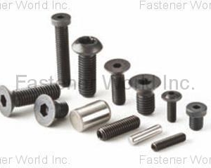 fastener-world_INFASTECH/TRI-STAR LIMITED TAIWAN BRANCH fastener-world(INFASTECH/TRI-STAR LIMITED TAIWAN BRANCH )