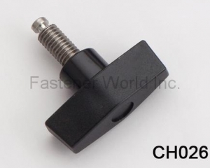 fastener-world(CHENG HSIANG CO., LTD.  )