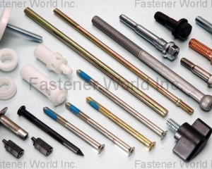 SPECIAL SCREWS & PLASTIC PARTS, FASTENERS(HWAGUO INDUSTRIAL FASTENERS CO., LTD.)