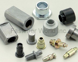 Automotive Parts, Special Nuts, Rivet(CANATEX INDUSTRIAL CO., LTD.)