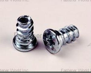 fastener-world(GINFA WORLD CO., LTD.  )