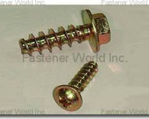 Pt Screws(GINFA WORLD CO., LTD. )