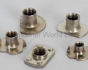 Stainless Steel Nuts