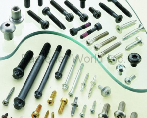 fastener-world(QST INTERNATIONAL CORP.  )