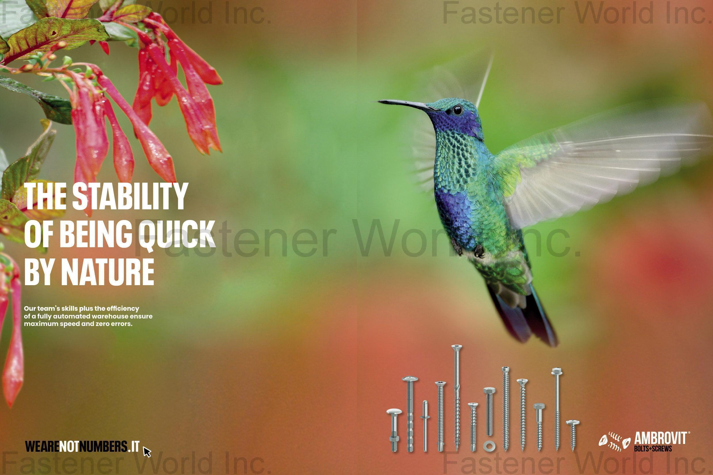 AMBROVIT S.P.A. , Chipboard Screws / Combined Screws / Machine Screws / Wood Screws / Hexagon Head Cap Screws / TRI-LOBULAR Screws / PVC Screws / Self-Tapping Screws / Countersunk Bolts / Hexagon Nuts / Flat Washers / Self-drilling Screws AMBROVIT S.P.A. , Chipboard Screws / Combined Screws / Machine Screws / Wood Screws / Hexagon Head Cap Screws / TRI-LOBULAR Screws / PVC Screws / Self-Tapping Screws / Countersunk Bolts / Hexagon Nuts / Flat Washers / Self-drilling Screws