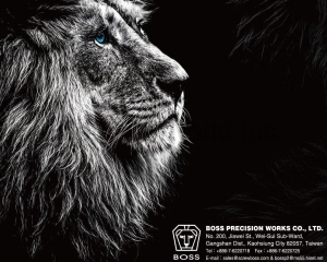 fastener-world_BOSS PRECISION WORKS CO., LTD. fastener-world(BOSS PRECISION WORKS CO., LTD. )